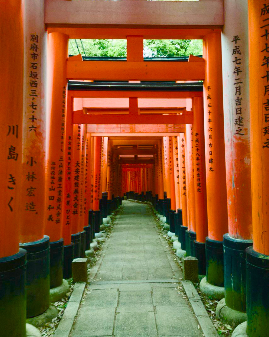 Torii gate tunnel at Fushimi Inari
